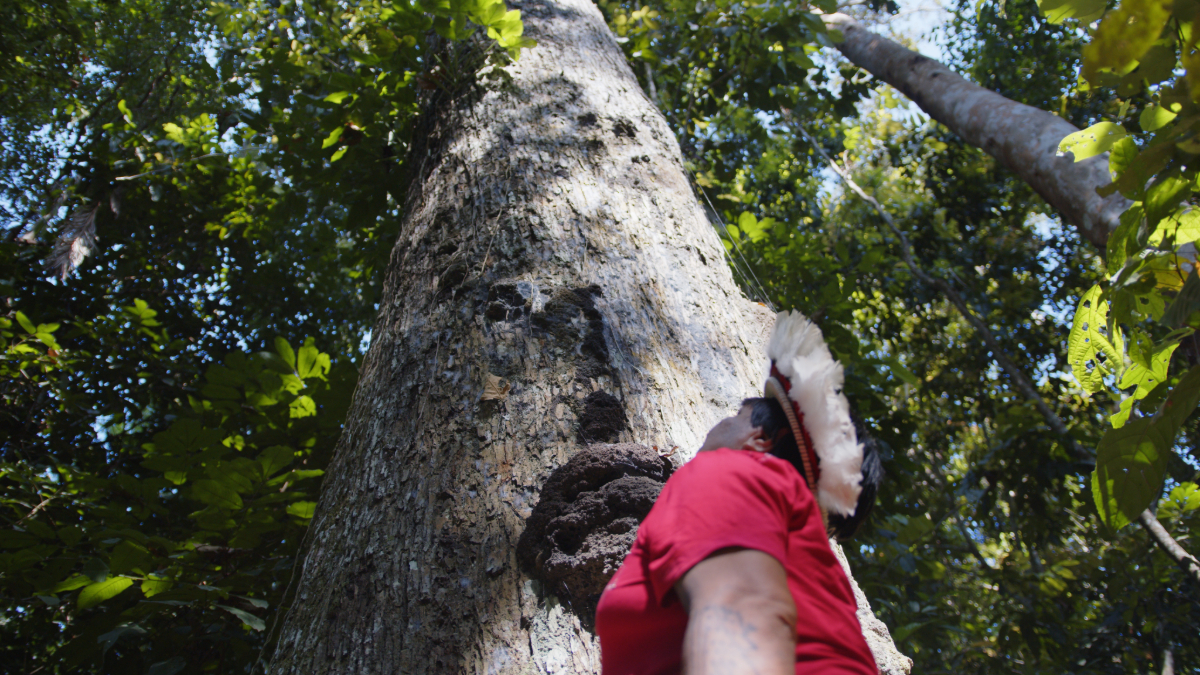 Integrare leadership rappresentanza comunità indigene