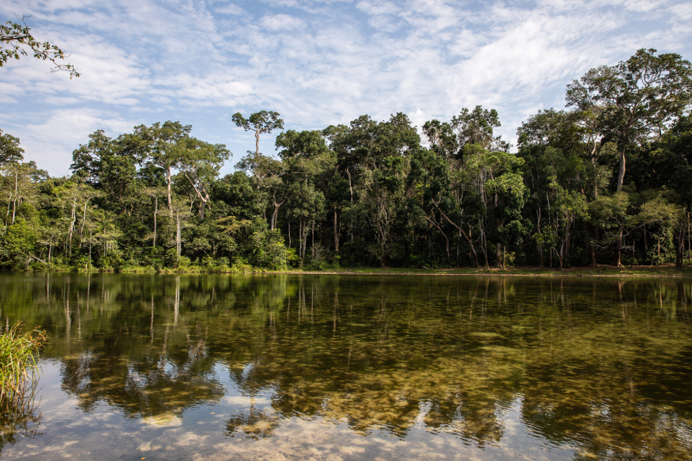Riconoscere e valorizzare i servizi ecosistemici