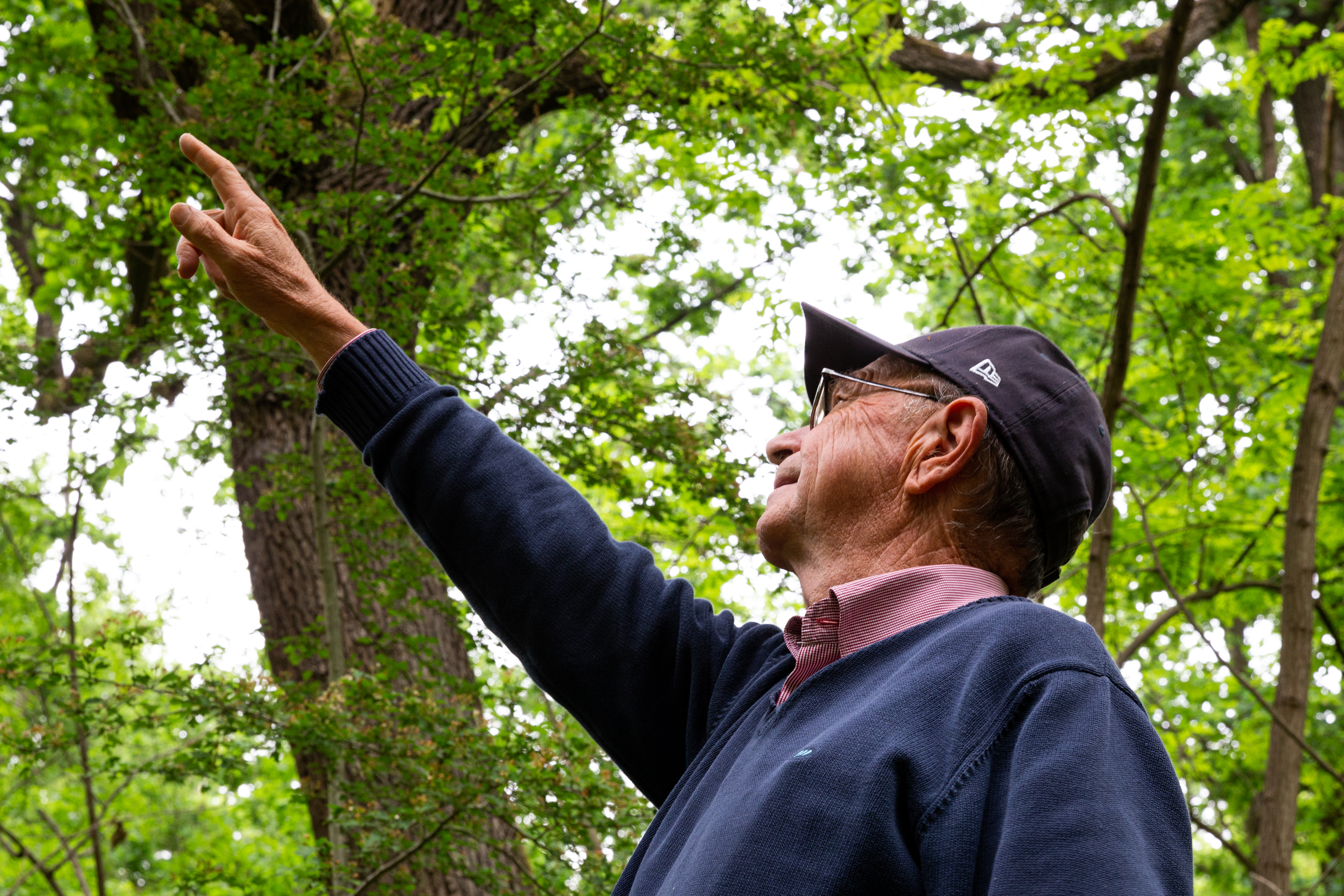 Benefici ecosistemici per proprietari e i gestori forestali