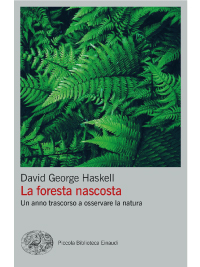 FSC_Haskell-Foresta