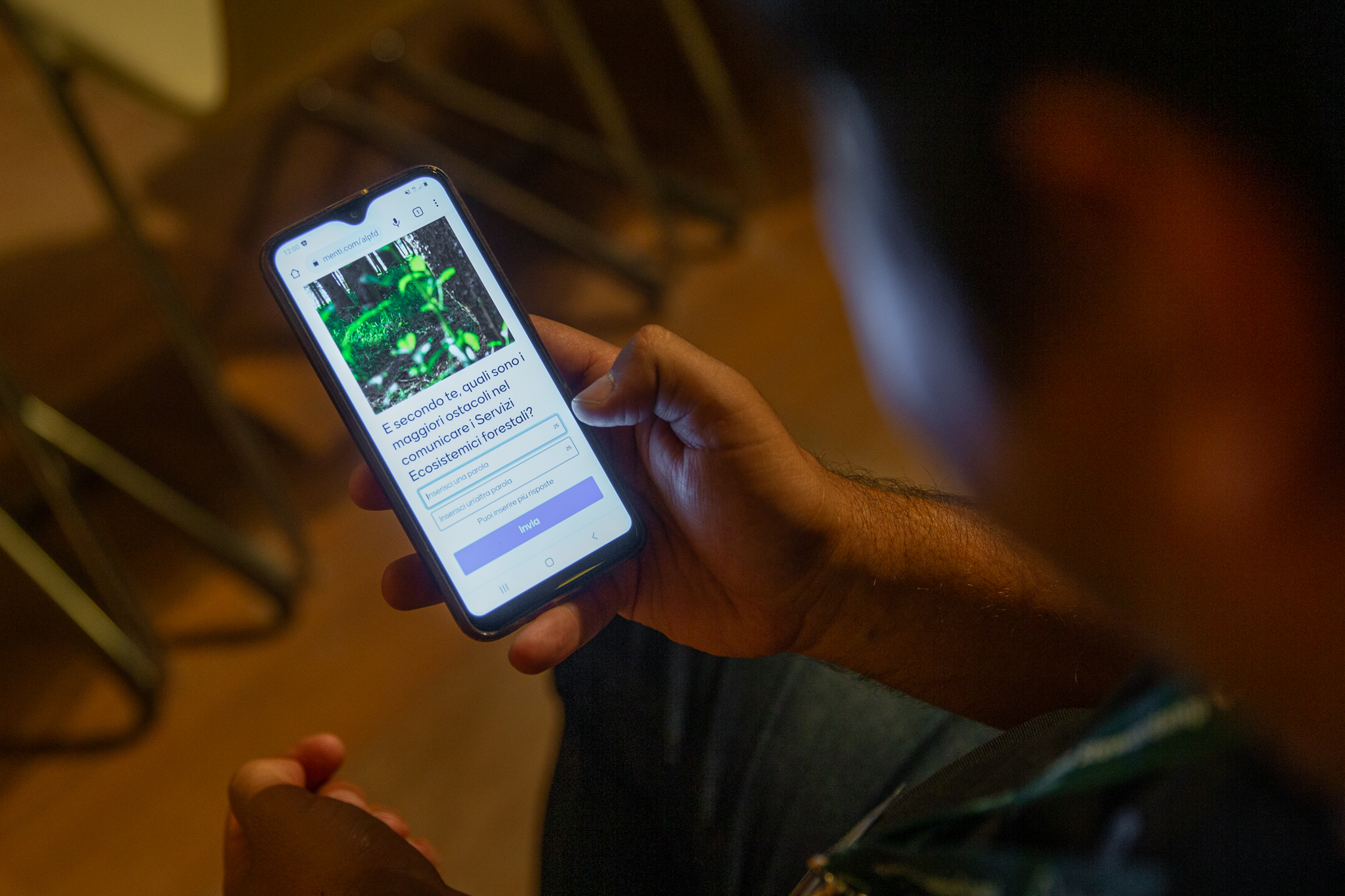 sondaggio foreste Mentimeter