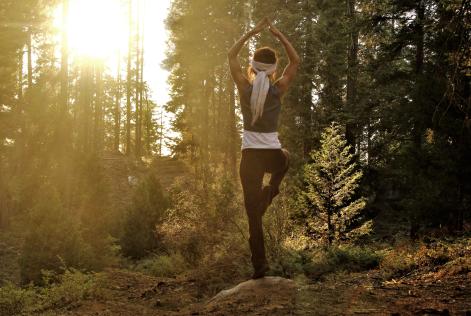 Forest bathing: tutto il benessere dalle foreste