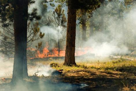 La nuova sintesi IPCC è un grido di allarme che va ascoltato