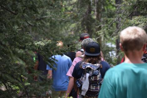 International Day of Forests 2023: foreste rigogliose per comunità sane