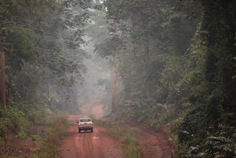 Le foreste ALPI in Camerun ottengono la certificazione FSC®