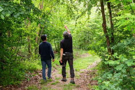 Un nuovo corso per auditor sulla Gestione Forestale FSC