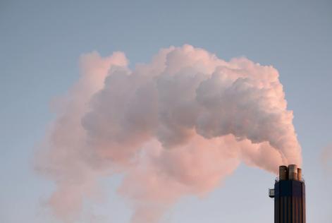 Inquinamento dell’aria: cosa possono fare gli alberi (e cosa no)