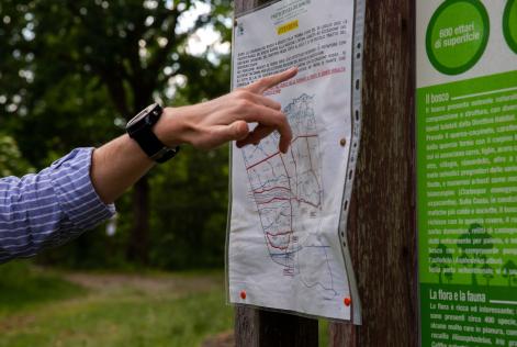 Disponibile un documento di comparazione dello standard di Gestione Forestale FSC