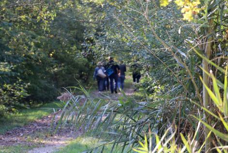 Un’opportunità formativa per professionisti e tecnici di gestione forestale