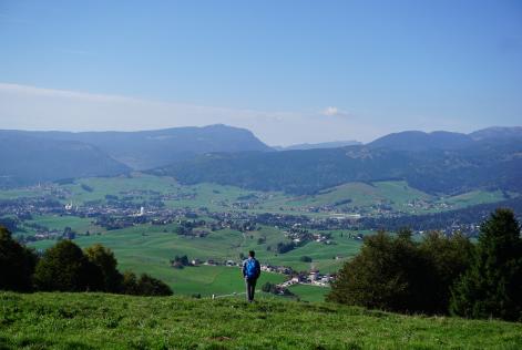 Un evento sul presente e futuro dei boschi di Asiago