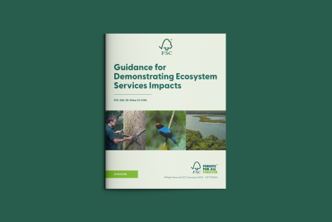 La guida che spiega i servizi ecosistemi FSC, e molto altro