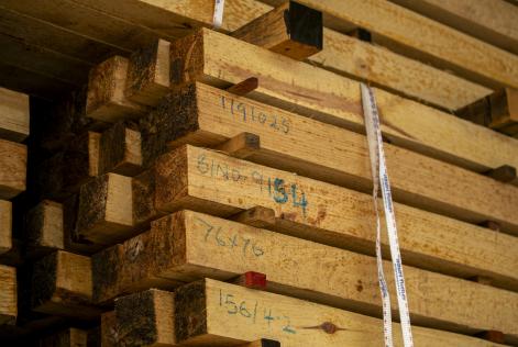 La nota “nessuna vendita FSC” sarà resa pubblica nel Database FSC