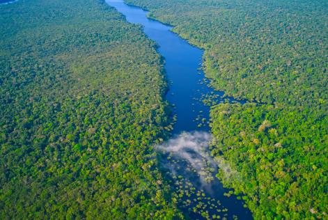 Alla COP 30 FSC® firma una lettera congiunta d’azione