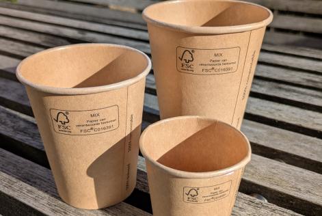  Certificazione FSC in Italia: il report 2025