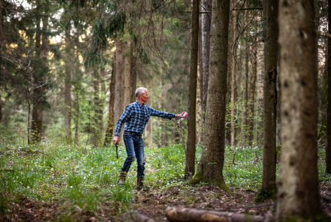 Nuove ricerche aggiornano le stime sull'occupazione nel settore forestale globale