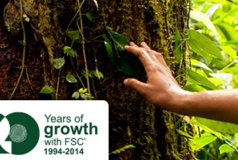 The Root of the Matter: il nuovo blog di FSC