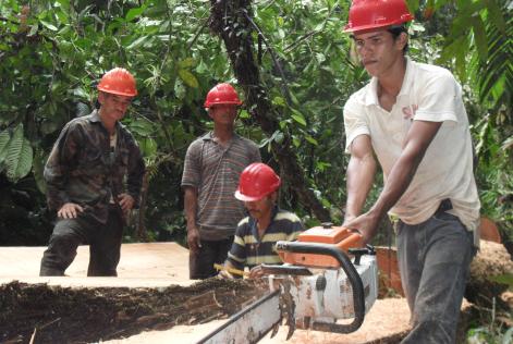 FSC riconferma il suo impegno per proteggere i diritti dei lavoratori