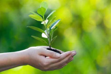 Resoconto dell'Assemblea Straordinaria dei soci FSC Italia