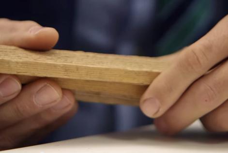 FSC Italia e Leroy Merlin insieme per promuovere l'uso di legno tropicale certificato