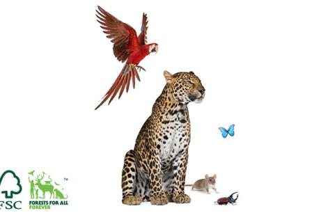 FSC imagery tiger