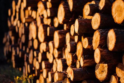 FSC risk assessment