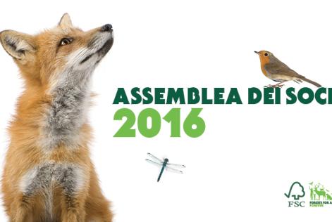 Foreste per tutti a Milano Assemblea Soci 2016 di FSC Italia