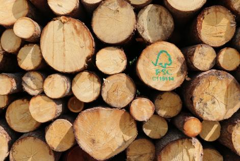 Consultazione pubblica del nuovo standard di Catena di Custodia FSC