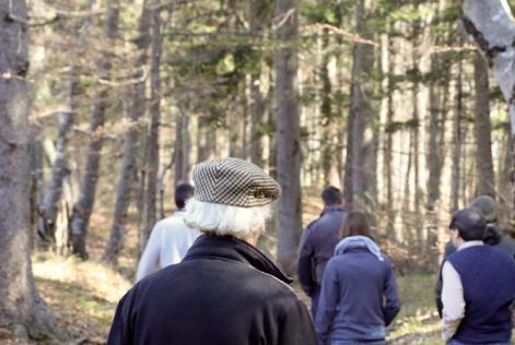 Nuovo standard di Gestione Forestale nazionale verso la bozza finale