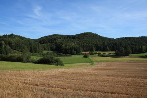 Se la lotta alla fame nel mondo passa attraverso la salvaguardia delle foreste