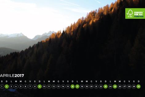 #AForestInAYear: Magnifica Comunità di Fiemme