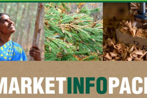 Benefici della certificazione: ecco il nuovo Market Info Pack di FSC