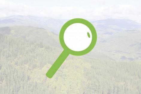 Al via indagini sulla filiera del carbone di legna