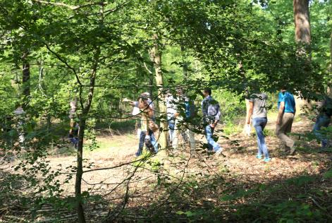 Opportunità ed innovazione: il nuovo standard FSC di gestione forestale nazionale