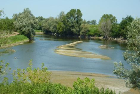 Parco Oglio Sud: il primo Parco Regionale ad ottenere la certificazione FSC
