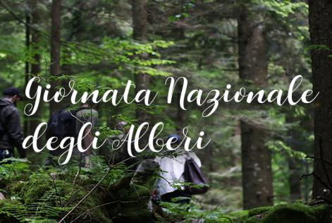 Giornata Nazionale degli Alberi 2018: un’occasione per capire l’importanza della gestione forestale pianificata
