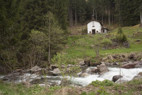 FSC Italia alla Festa del Boscaiolo e delle Foreste 2019