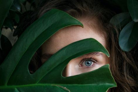 Webinar - Forests and Fashion