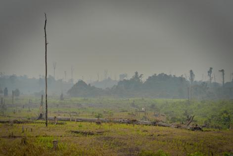 Global Biodiversity Outlook 5: “L’umanità si trova ad un bivio”