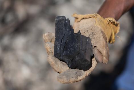La carbonella più green arriva dalla Namibia
