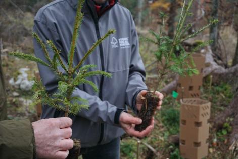 Ripartiamo dal bosco: lettera aperta a due anni da Vaia
