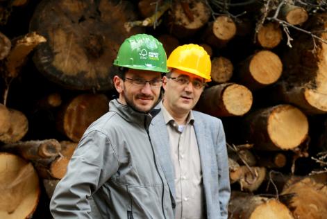 Rivisto e approvato lo standard di gestione forestale di gruppo FSC