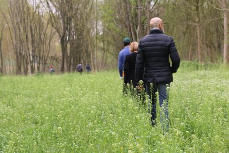 Nuovo appuntamento di formazione sulla gestione forestale FSC