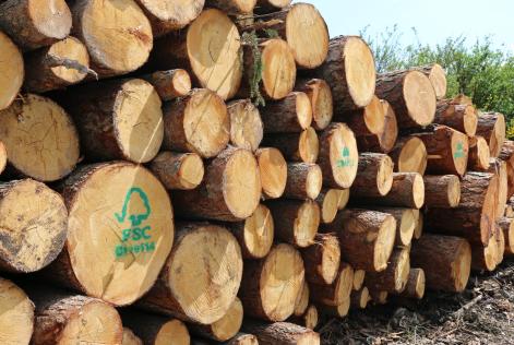 Posticipata l’entrata in vigore dei nuovi standard di Catena di Custodia