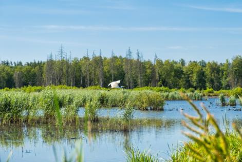 La biodiversità rimane la risposta a molte sfide dello sviluppo sostenibile