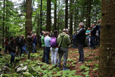 Aperte le pratiche di rinnovo della certificazione di gestione forestale del Comune di Asiago