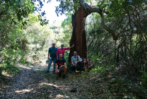 Nuove certificazioni di Gestione Forestale e dei Servizi Ecosistemici in Italia