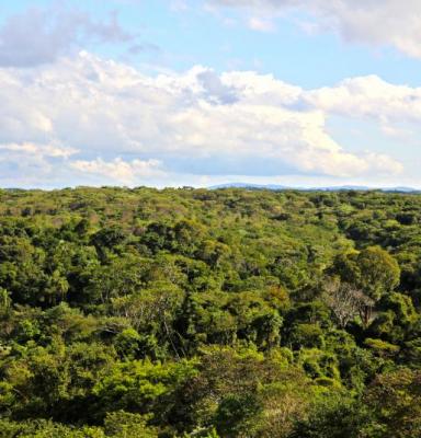 Corso di formazione sulla Gestione Forestale FSC per consulenti e dottori agronomi e forestali