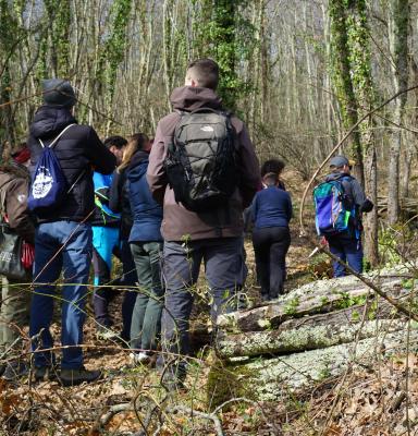 FSC Forest Association Contest