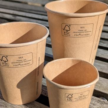  Certificazione FSC in Italia: il report 2025