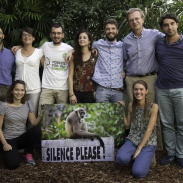 FSC Italia: 15 anni dalla parte delle foreste - Nuove foglie